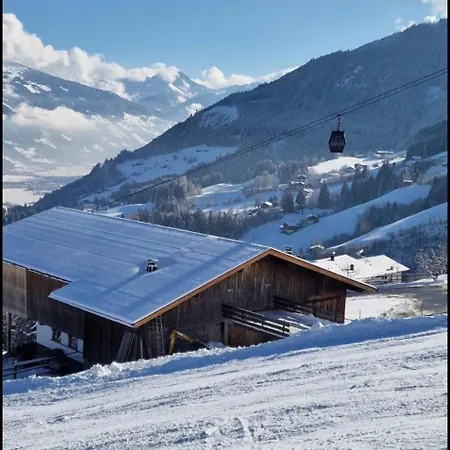 Apartment Alpen-apartments Schanzlbichl Fuegen